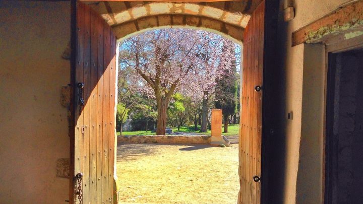 Agriturismi, l’allarme: «Senza riapertura rischiamo di chiudere»