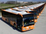 campania 140 nuovi bus trasporto pubblico