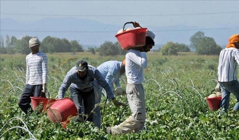 Campania prima per richieste regolarizzazione lavoratori agricoli