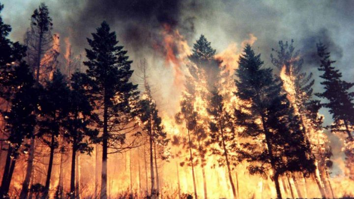 Contrasto agli incendi boschivi, approvato il Piano regionale